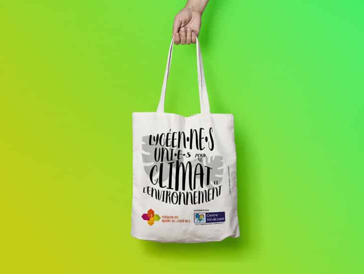 climat et l'environnement totebag